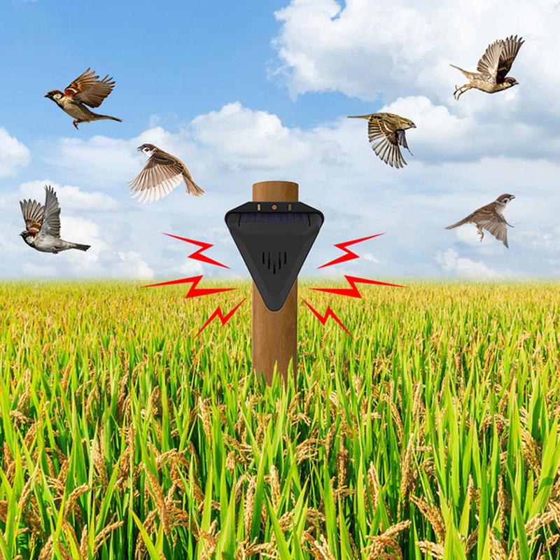 Waterproof Solar bird repeller – Fish Alarm recenzja i cena