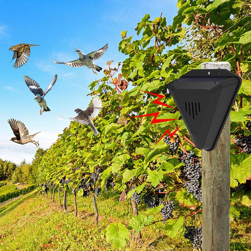 Waterproof Solar bird repeller – Fish Alarm recenzja i cena